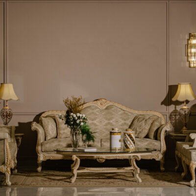 this image is for crazy classic sofa