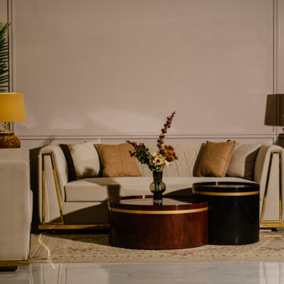 this image is for Hermes Sofa Set