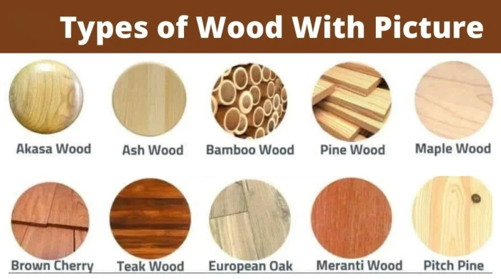 Types of Wood Used in Furniture