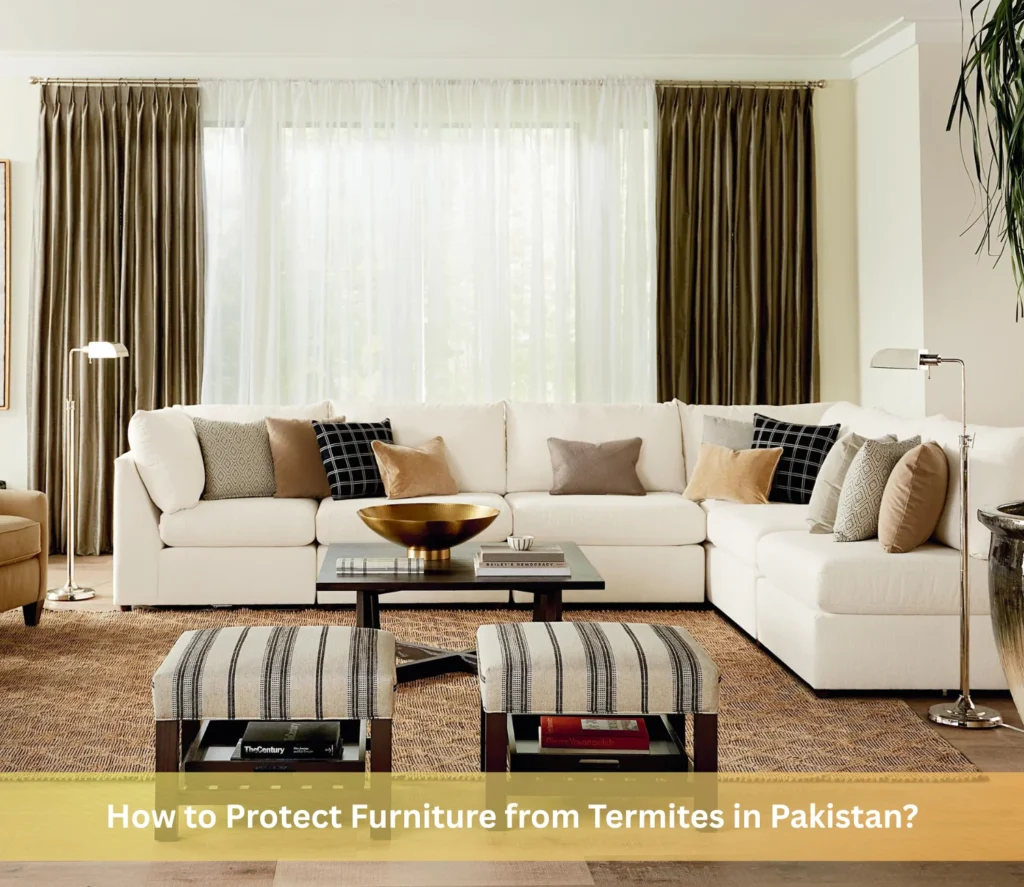 How to Protect Furniture from Termites in Pakistan?